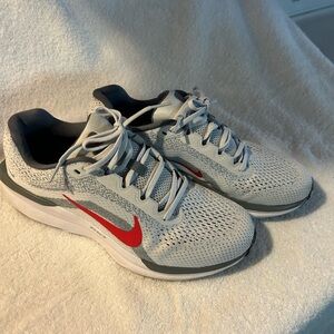 Nike Men’s Winflo 11 Running Shoes Sneakers Sz 8.5 Gray Red